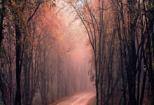 [图]帕尔默传射马杜埃凯戴帽 切尔西客场大胜.