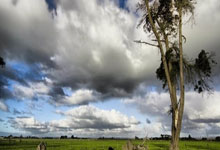 4连胜期间的希罗场均28.8分5.3助3.8记三分 真实命中率81.6%.