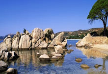 多多28官网:祝贺!国乒混团战胜美国队,取得三连胜人民日报微博.